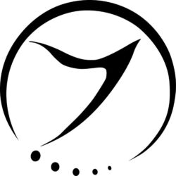 Picture of Shadow FX
