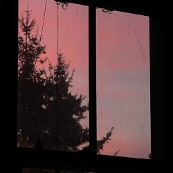 Picture of Foxtails