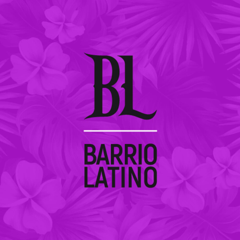 Photo de l'artiste Barrio Latino
