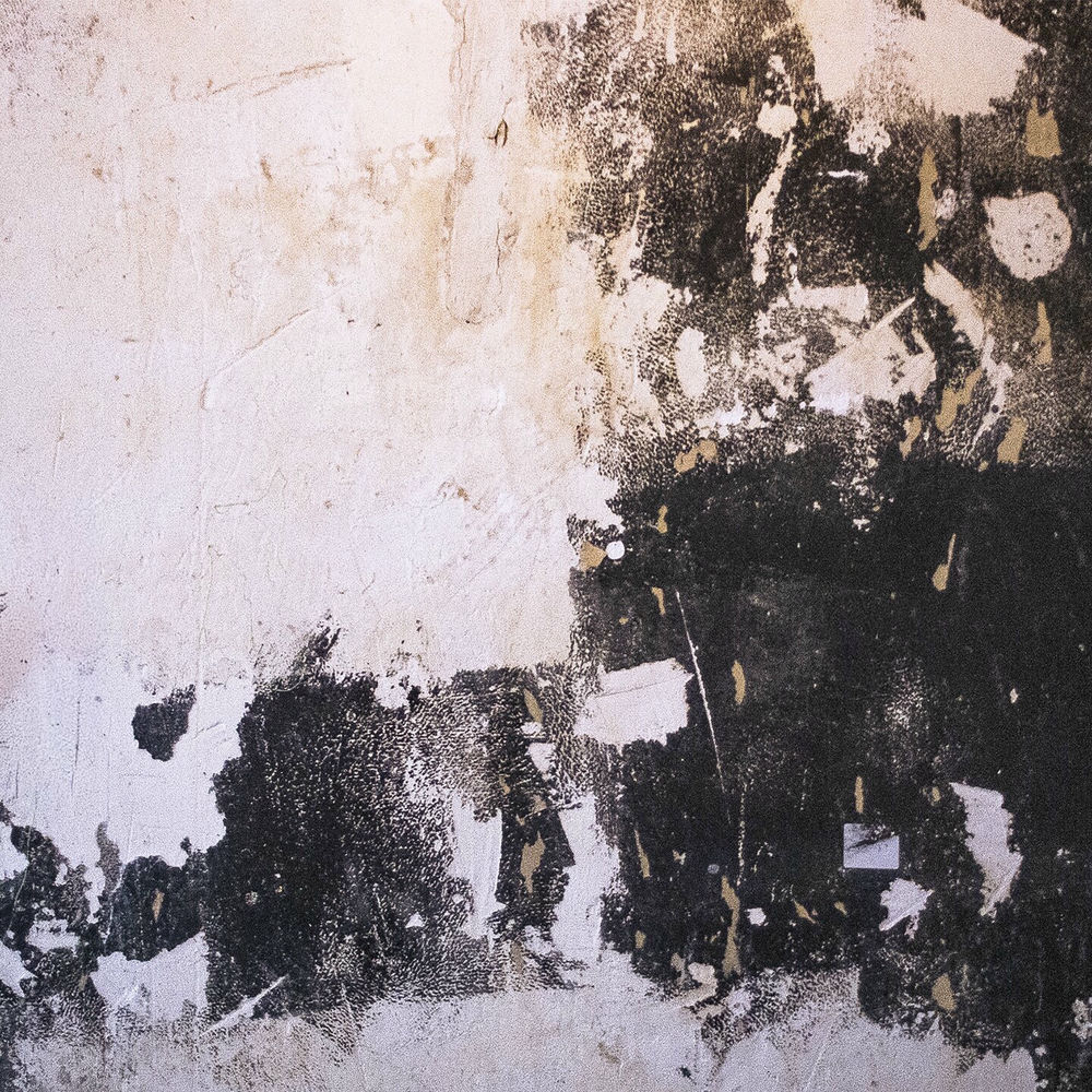 Photo de l'artiste Zool Fleischer