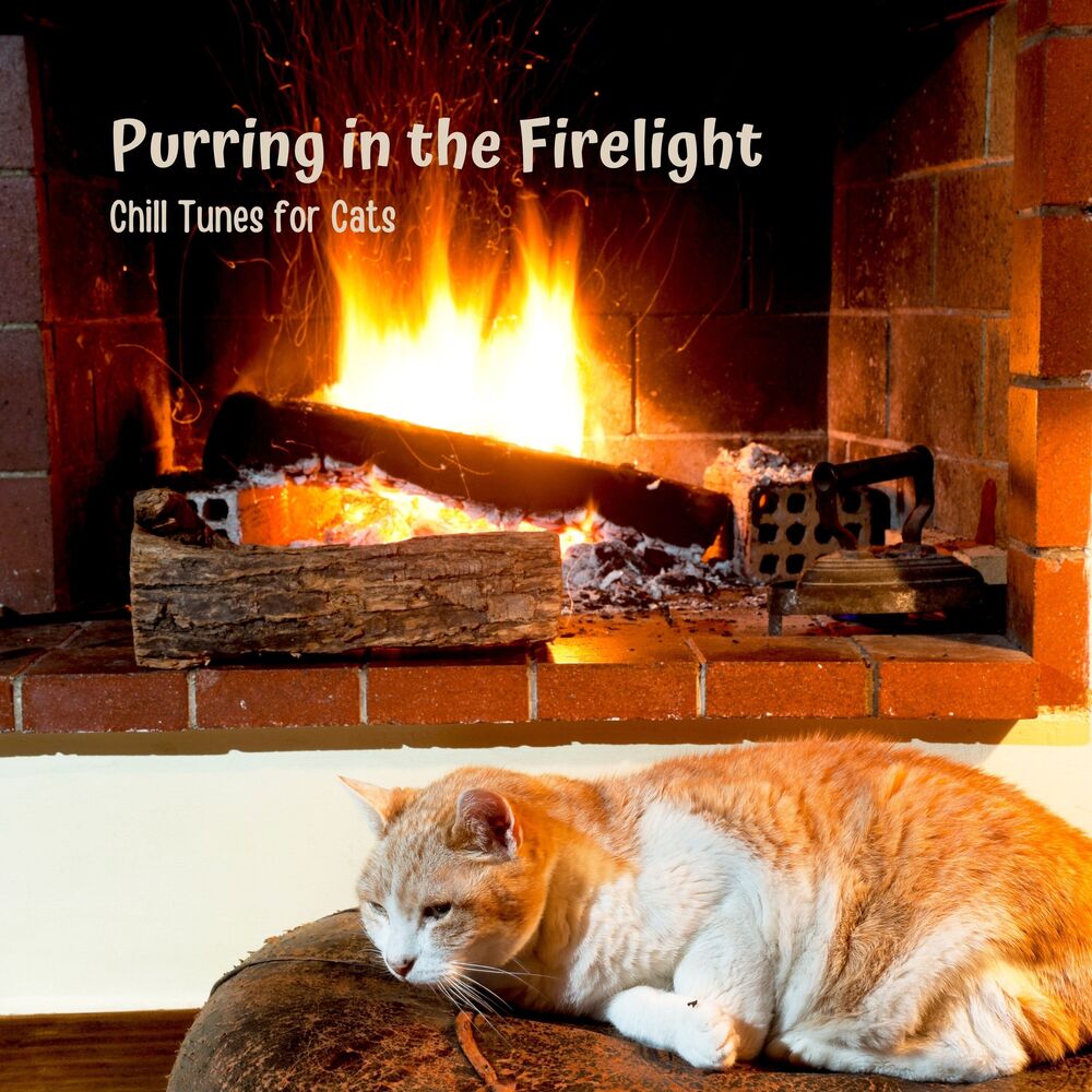 Picture of Sunrise Flames Fire Sounds