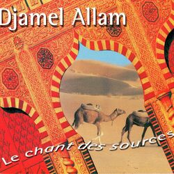 Picture of Djamel Allam