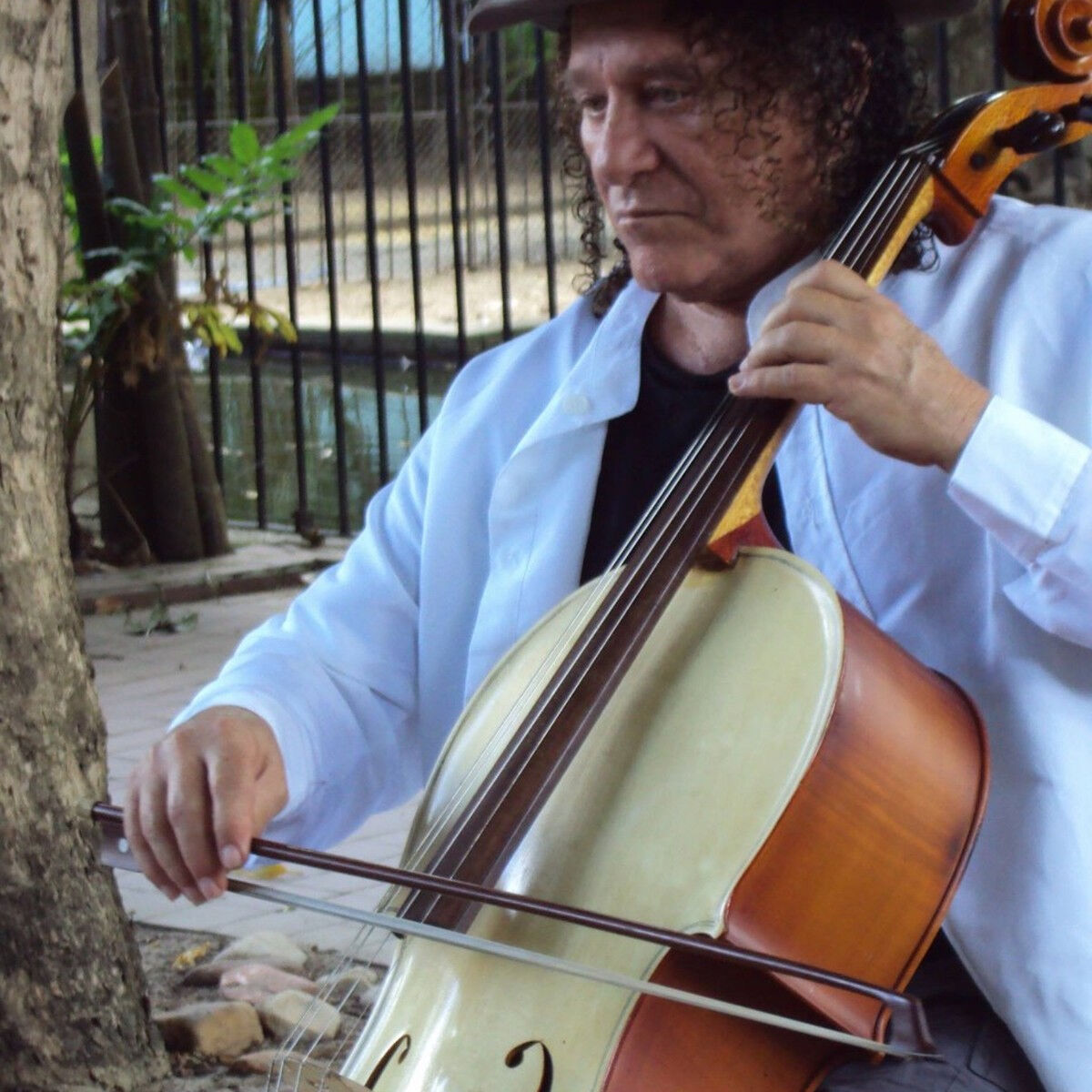 Artist picture of Vital Farias