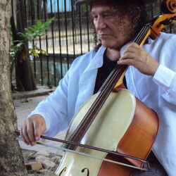 Picture of Vital Farias