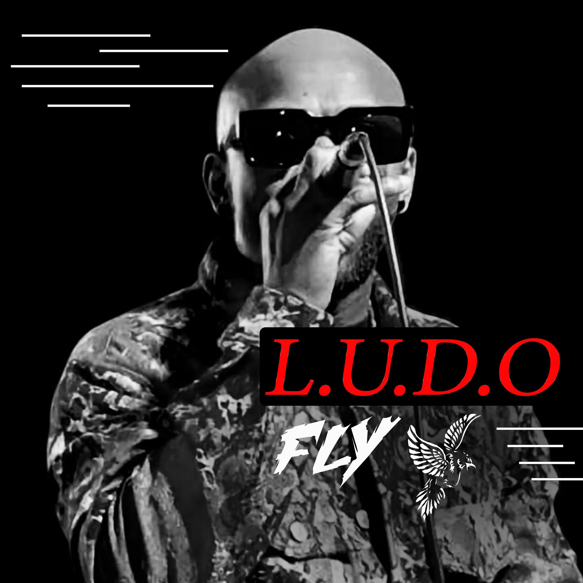 Ludo