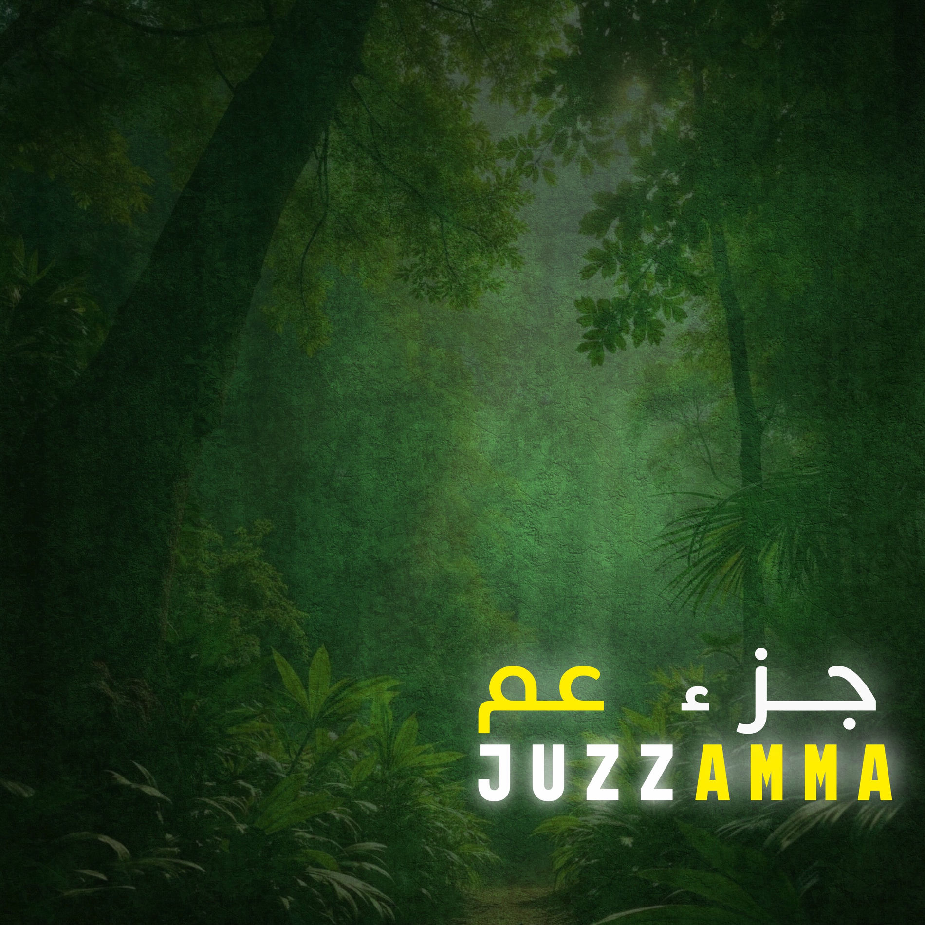 Artist picture of The Quran