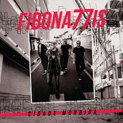 Picture of Fibonattis