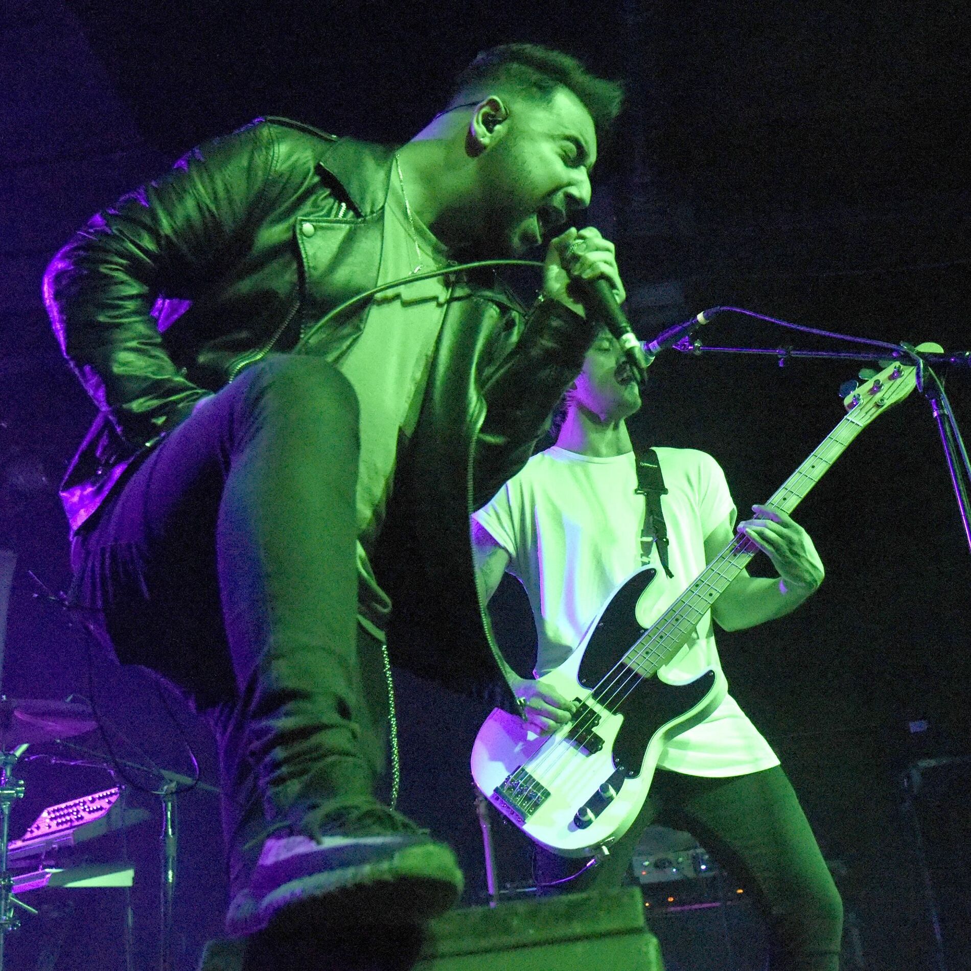 Palisades