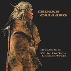 Picture of Indian Calling