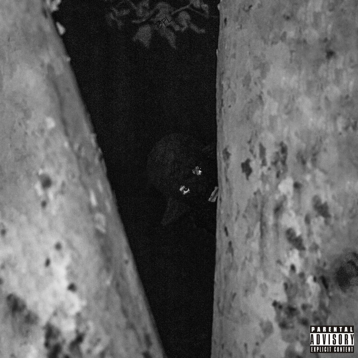 D. Savage