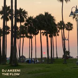 dj akeeni