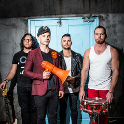 Picture of The Parlotones