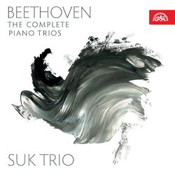 Picture of Suk Trio