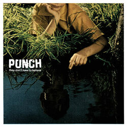 Picture of Punch