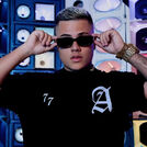 Mc Fidelis