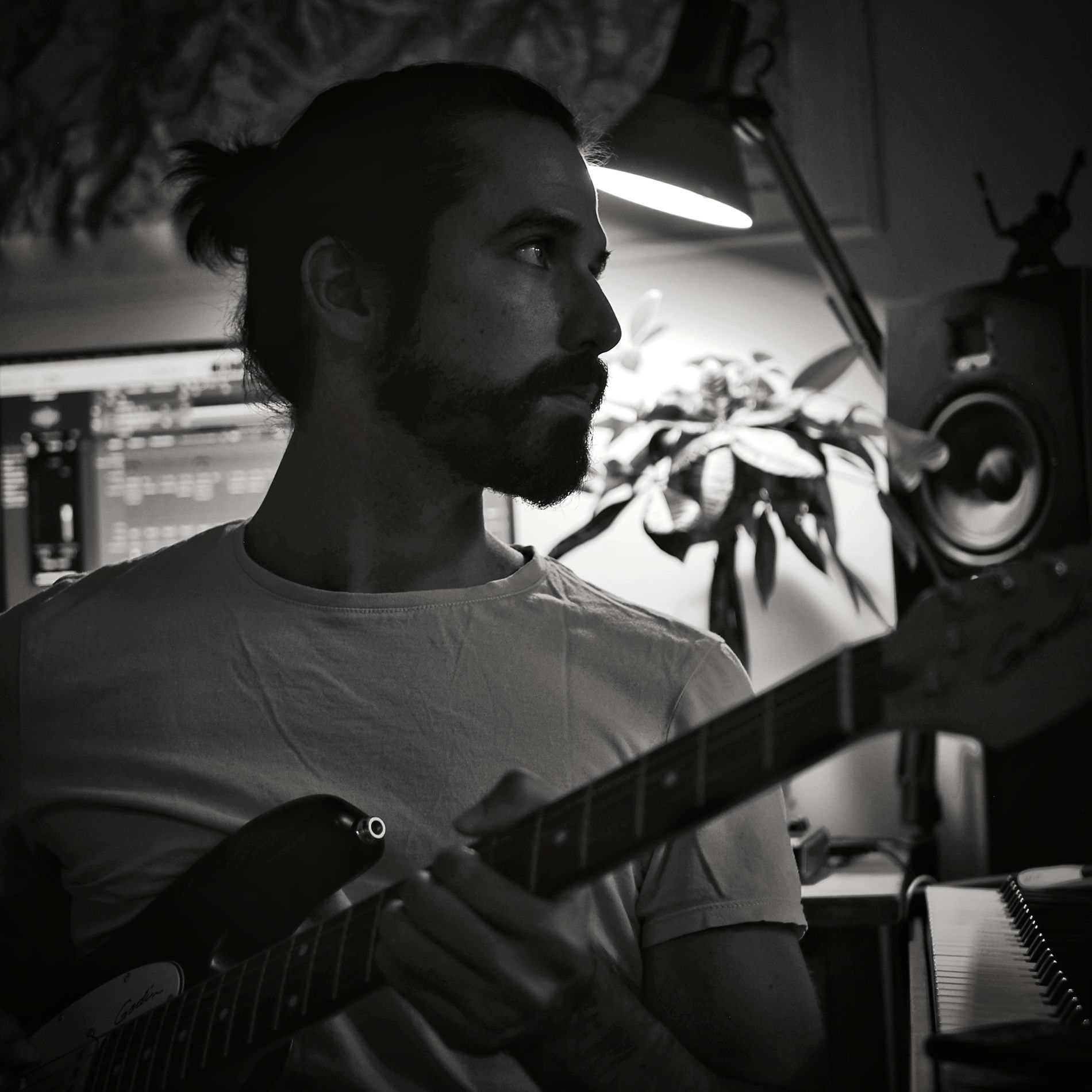 Artist picture of Plutones