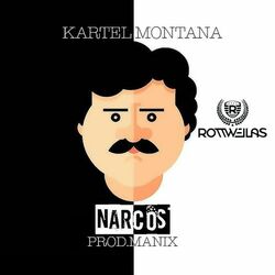 Picture of Kartel Montana