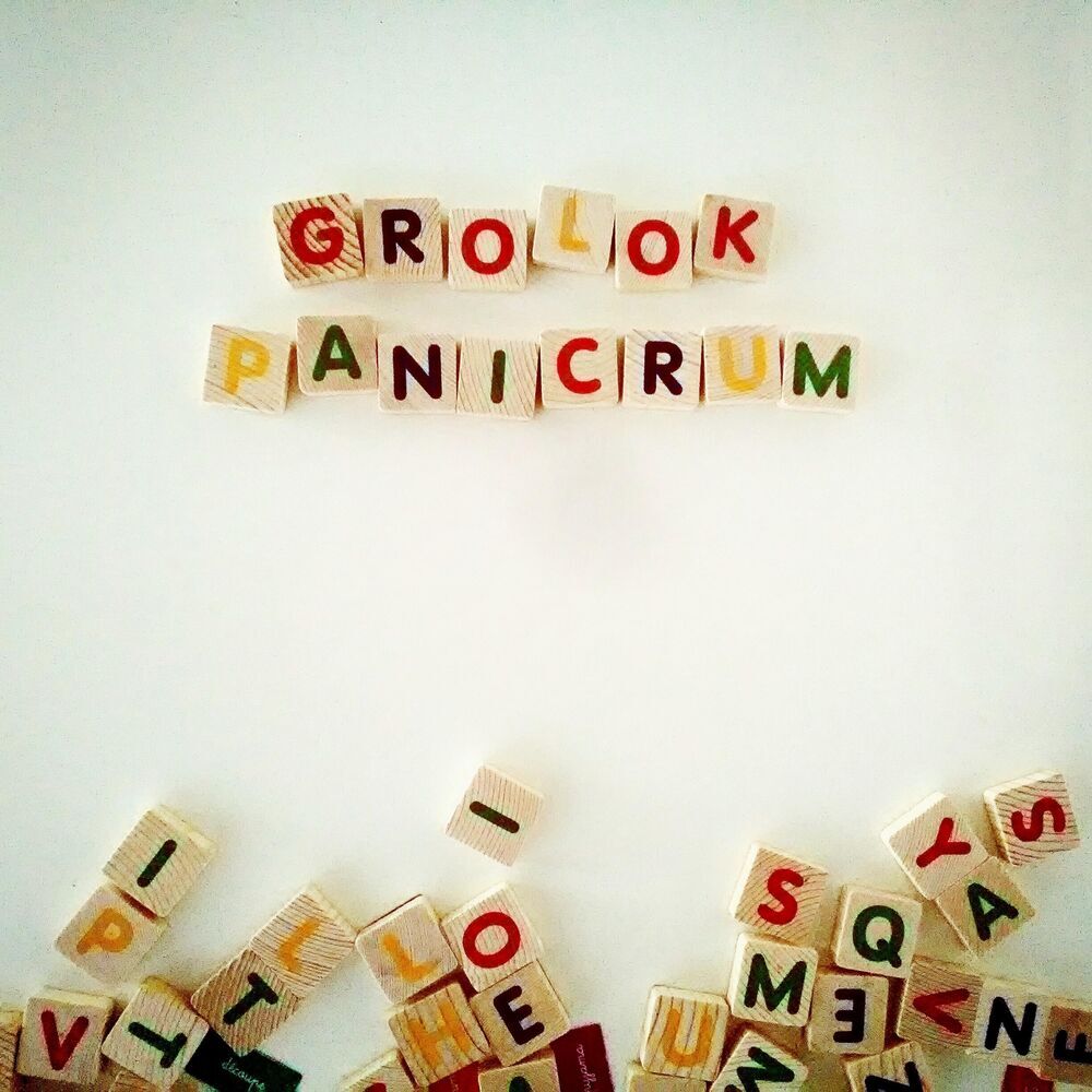 Picture of Grolok Panicrum