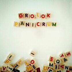 Picture of Grolok Panicrum