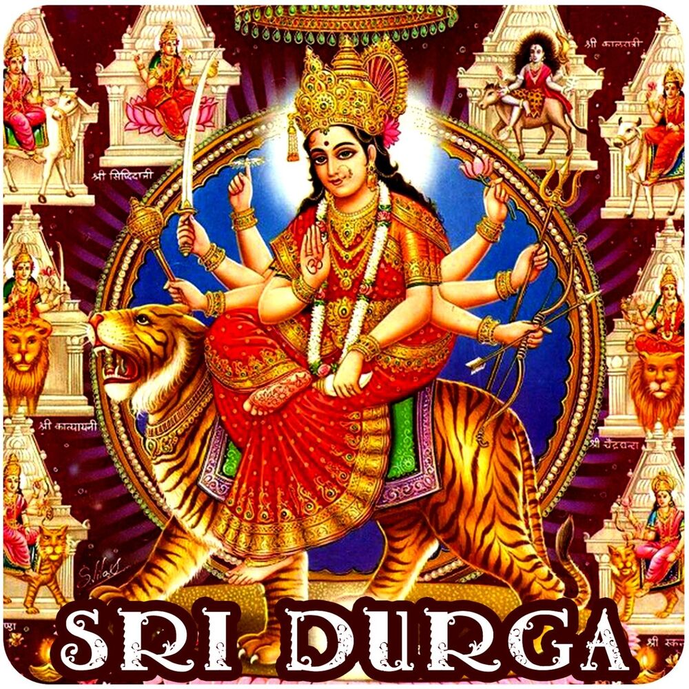 Picture of Kusuma