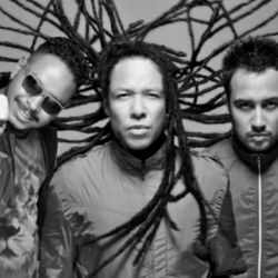 Picture of Los Afro Brothers