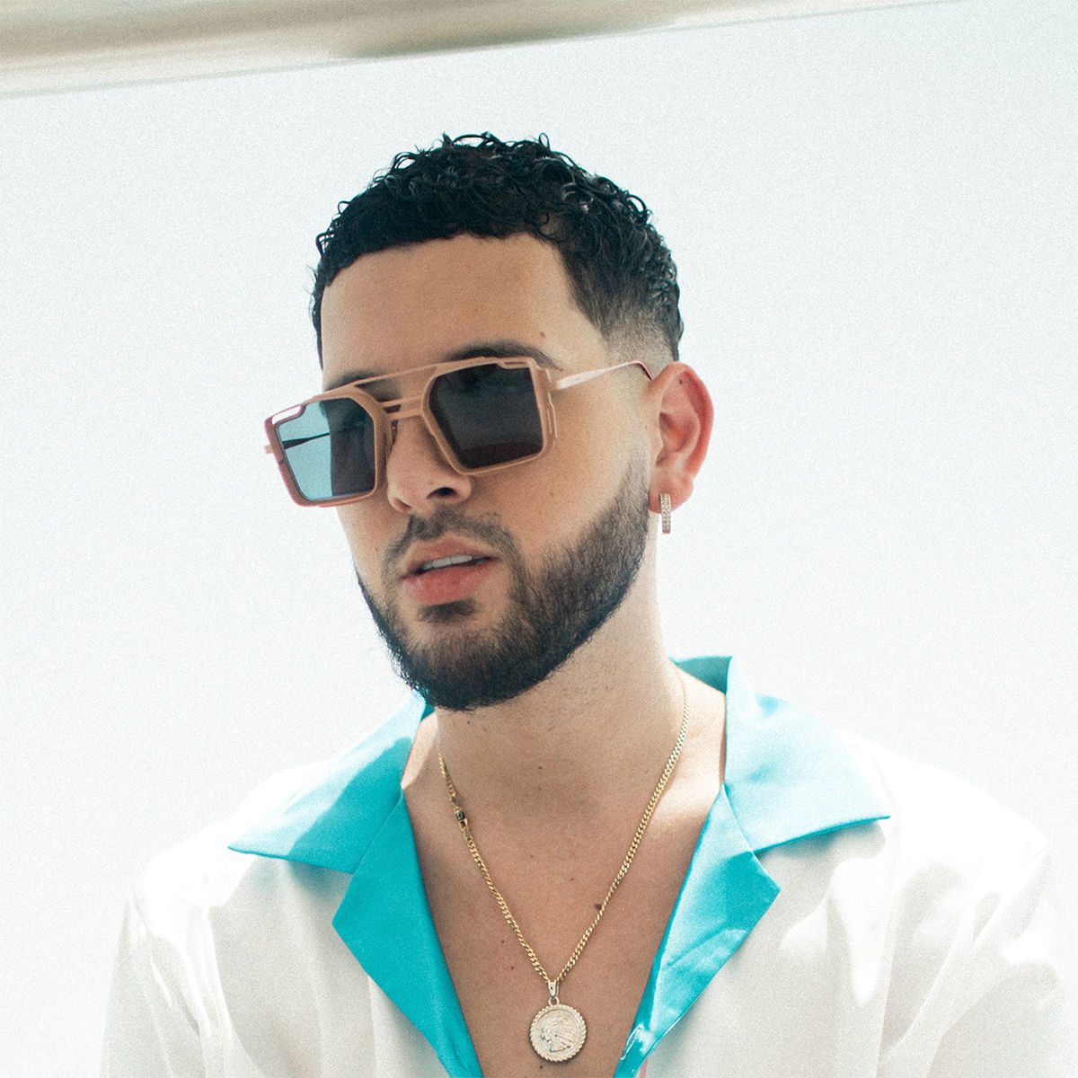 Artist picture of Cauty