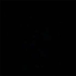 Picture of Monita