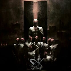 Picture of syk