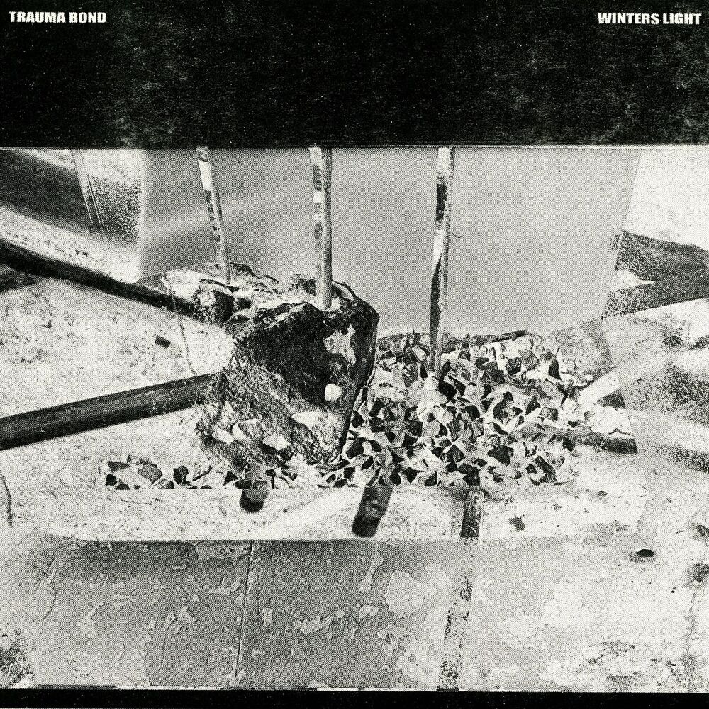 Picture of Trauma Bond