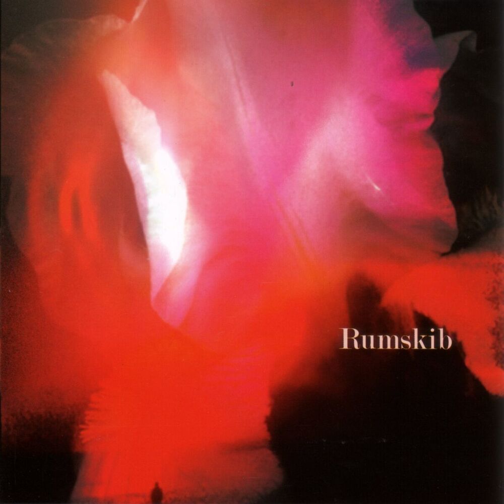 Picture of Rumskib