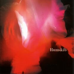 Picture of Rumskib