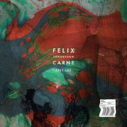 Picture of Felix Johansson Carne