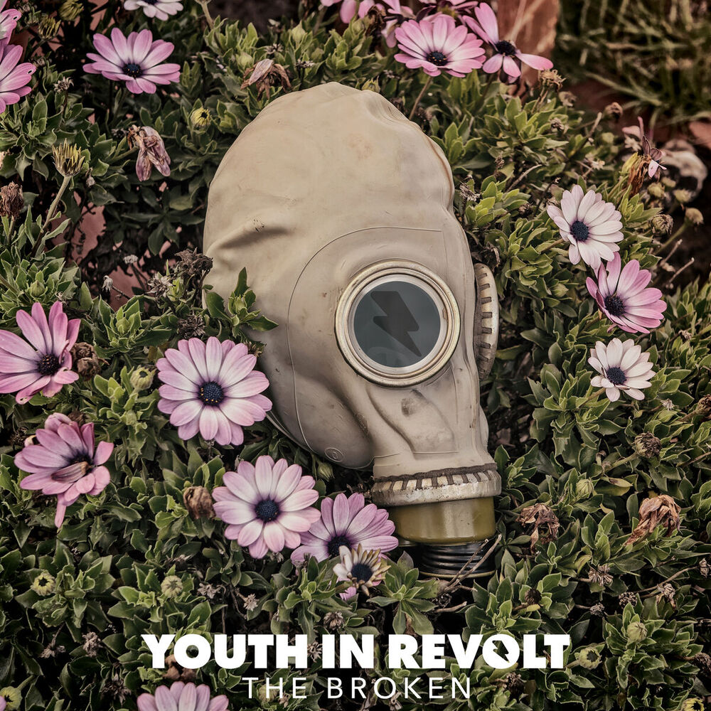Picture of Youth in Revolt