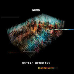 Picture of Numb