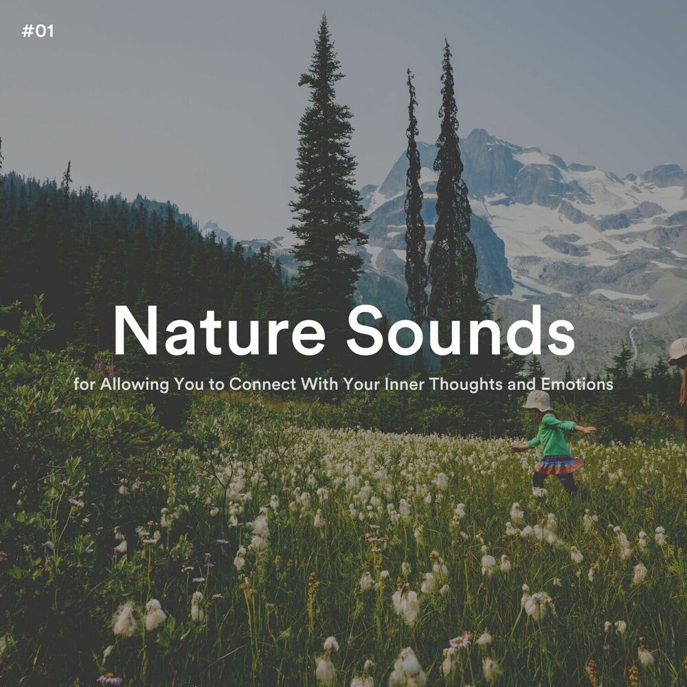 Picture of Sounds Of The Earth