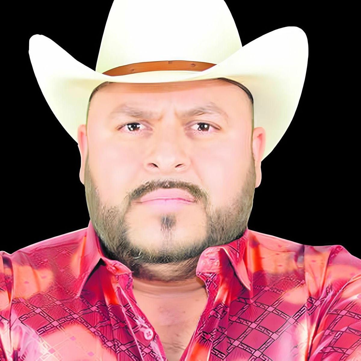 Los Buchones De Culiacan