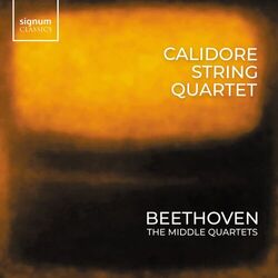 Picture of Calidore String Quartet
