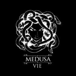 Picture of Medusa