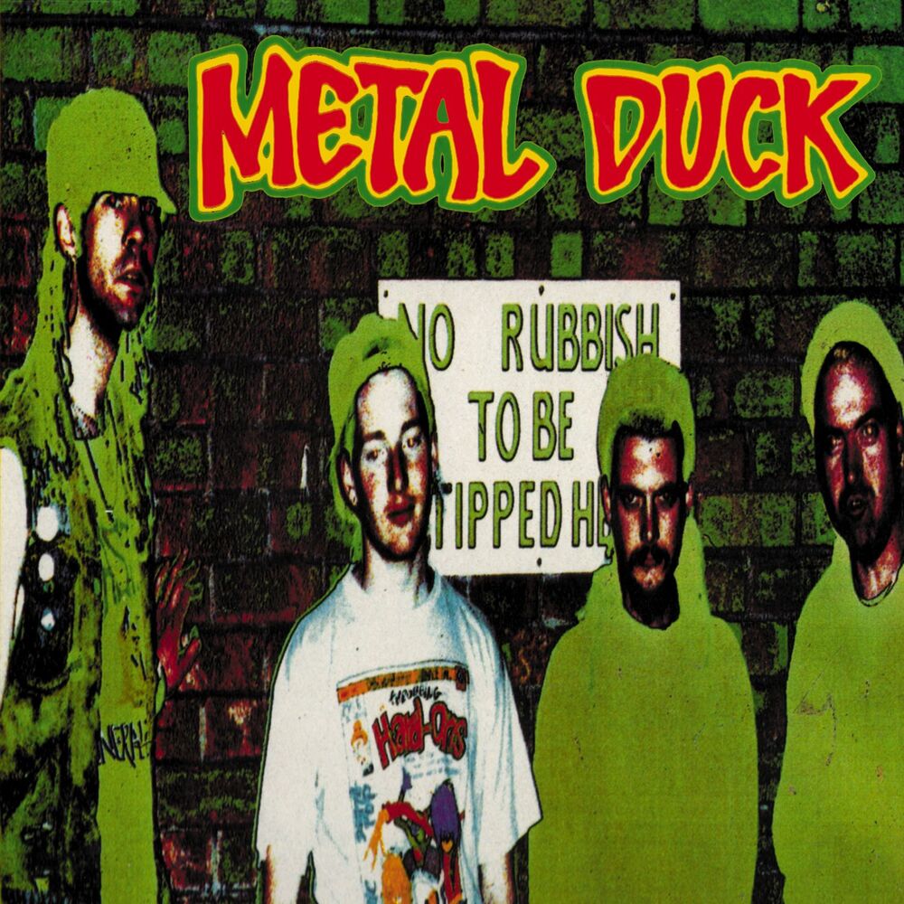 Picture of Metal Duck