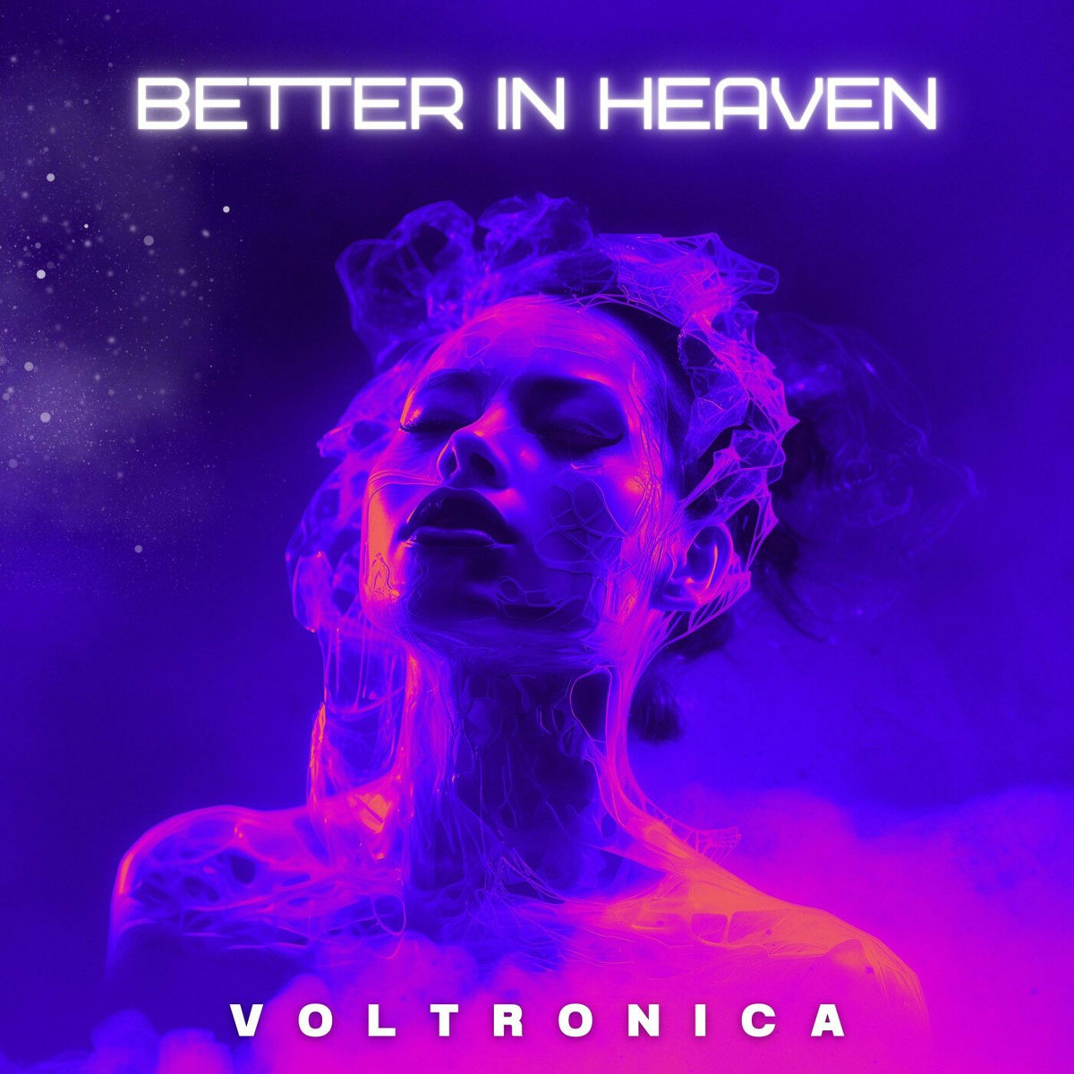 Artist picture of Voltronica