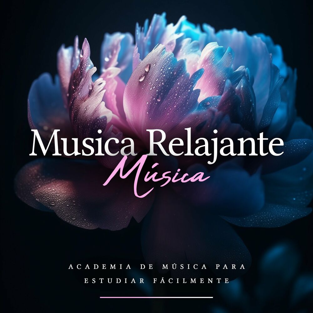Picture of Academia de Música para Estudiar Fácilmente