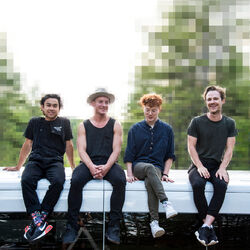 Picture of Birds of Bellwoods