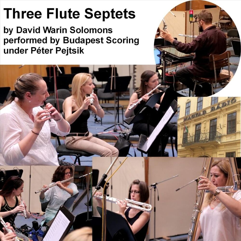 Picture of Budapest Scoring Flautists
