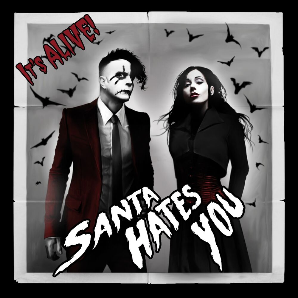 Picture of Santa Hates You