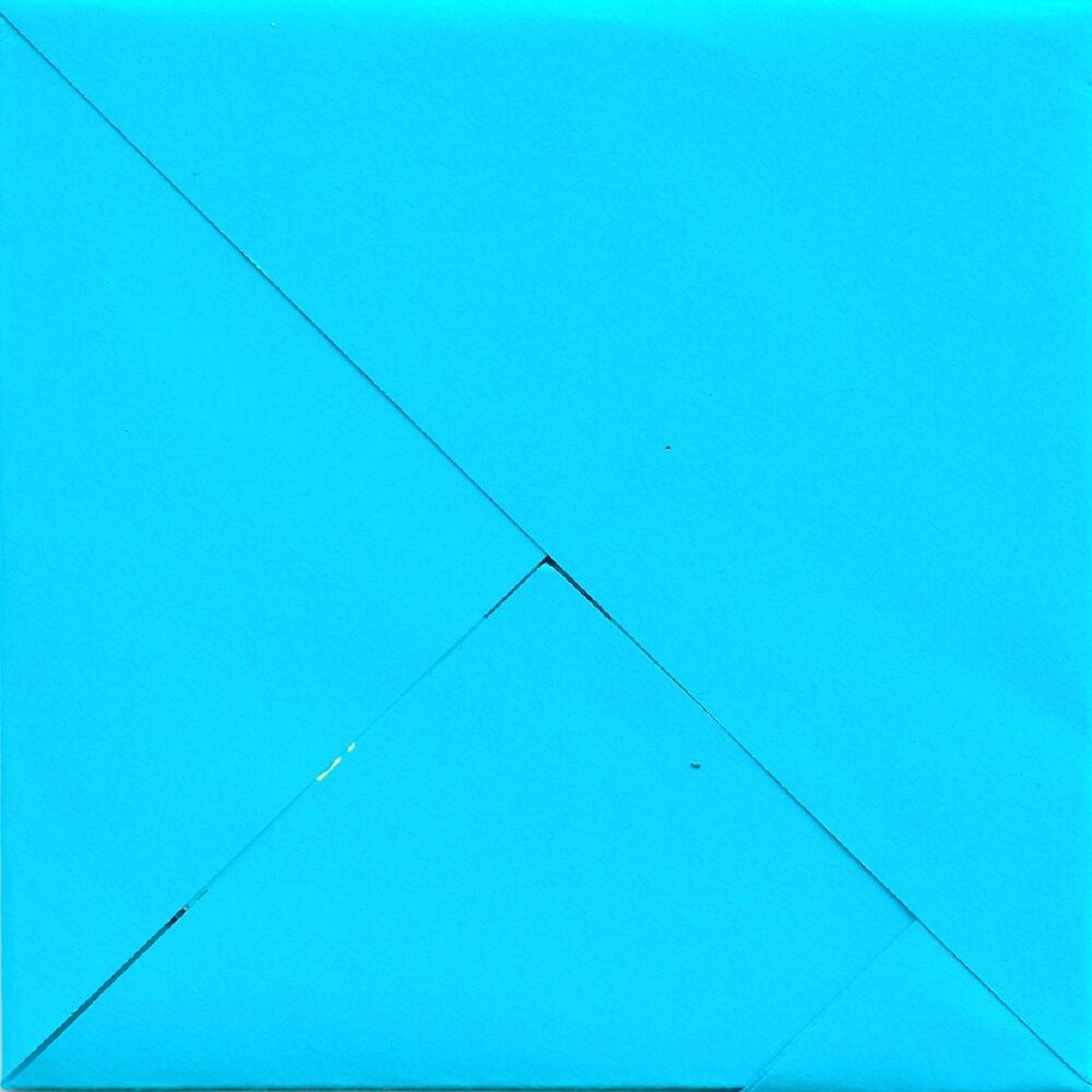 Picture of Xavier Camarasa