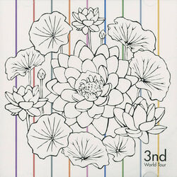 Picture of 3nd