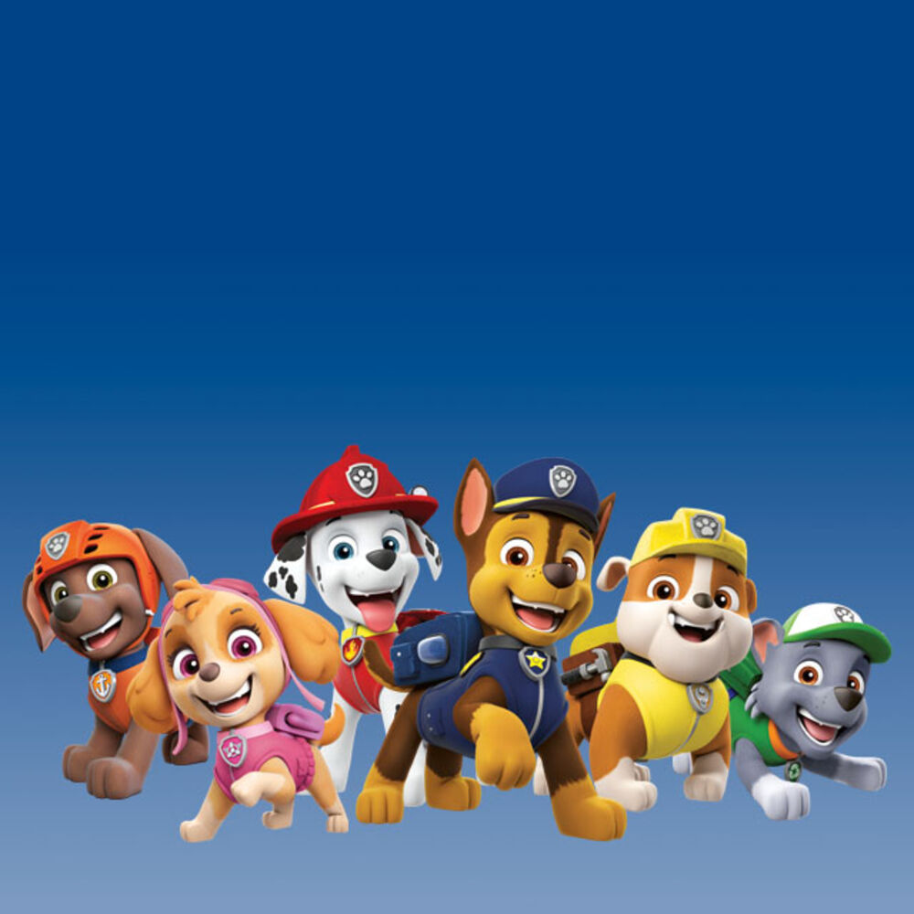 Picture of Paw Patrol