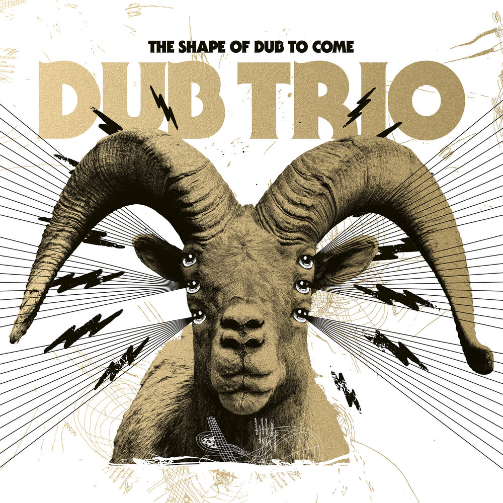 Picture of Dub Trio