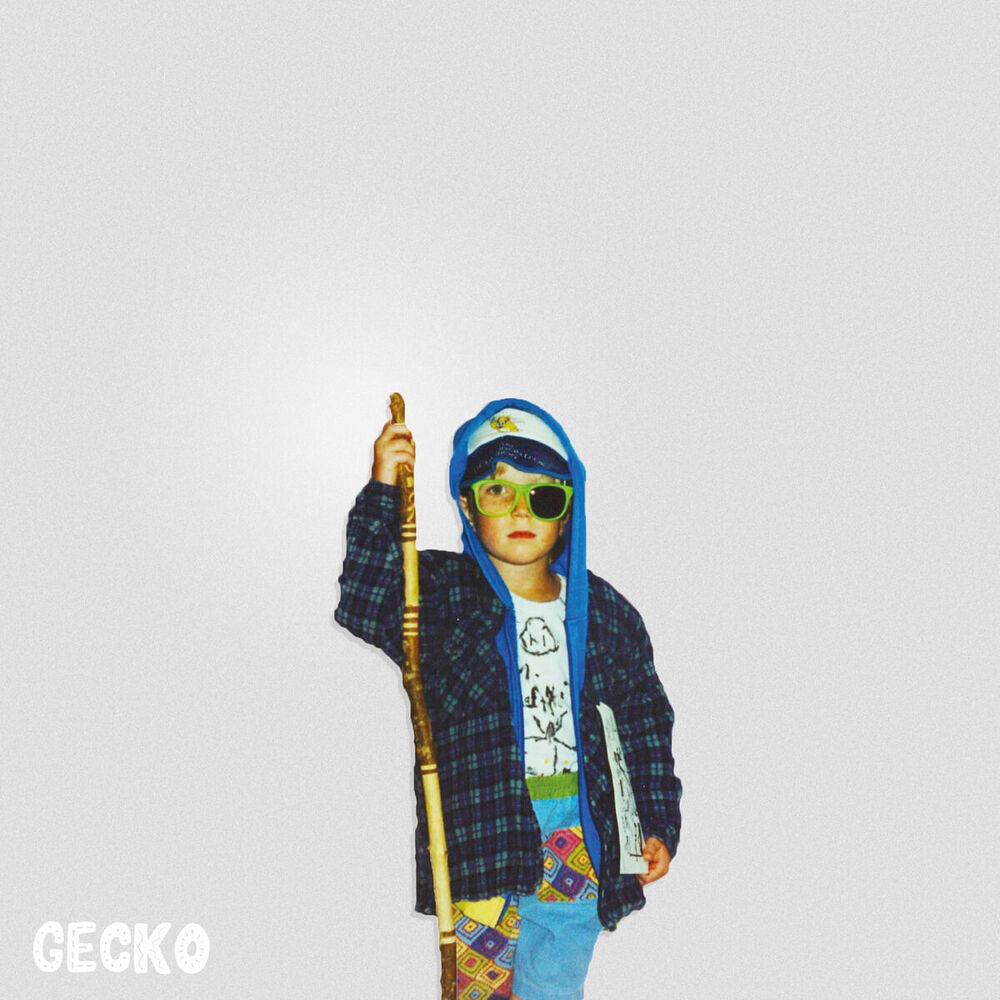 Picture of Gecko