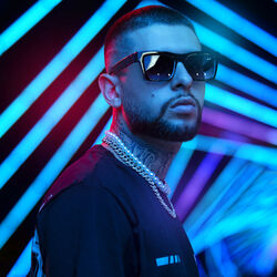 Picture of MC Hollywood